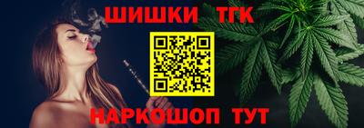 индика Пугачёв
