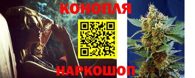 индика Пугачёв
