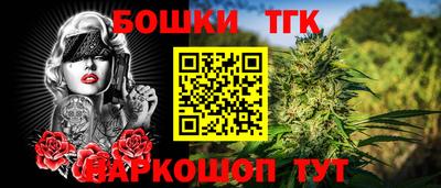индика Пугачёв