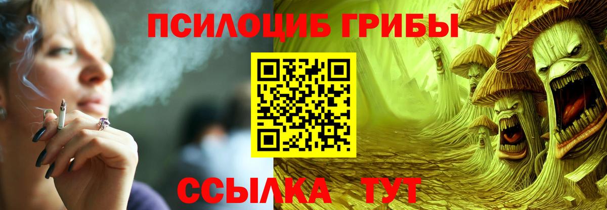 Галлюциногенные грибы MAGIC MUSHROOMS  Вход с VPN  Рязань 